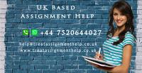 Treat Assignment Help in UK image 2