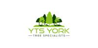 YTS York Tree Surgeon & Specialists image 1