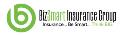BizSmart Business Insurance Company logo