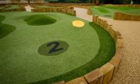 LazyLawn Artificial Grass - East London & Essex image 9