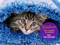 Deluxe Dry Carpet Cleaning  image 7
