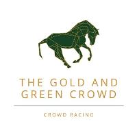 THE GOLD AND GREEN CROWD image 1