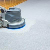 Pro Carpet Cleaning image 3