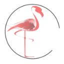 Flamingo Marketing Strategies	Ltd logo
