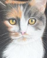 Dogrose and Catnip - Pet Portraits image 1