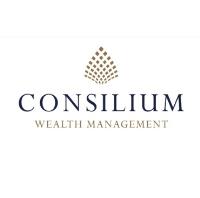 Consilium Wealth Management Ltd image 1