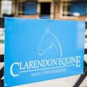 Clarendon Equine Veterinary Clinic logo