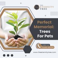 The Eternity Tree image 6