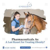 Clarendon Equine Veterinary Clinic image 8