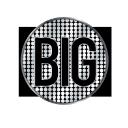 The Big Collective logo