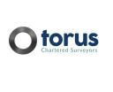 Torus Surveyors Ltd logo