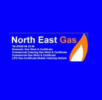 North East Gas image 1