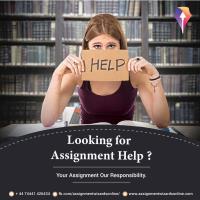 Assignment Wizards Online image 1