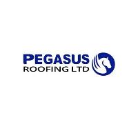  Pegasus Roofing image 1