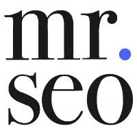 Mr SEO image 1