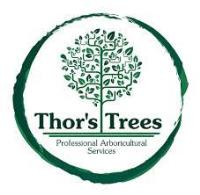 Thor's Trees Tree Surgeons image 4