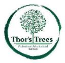Thor's Trees Tree Surgeons logo