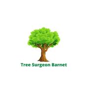 Tree Surgeon Barnet image 2