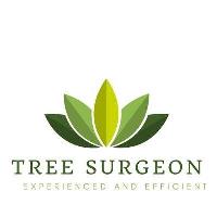 Tree Surgeon Essex image 3