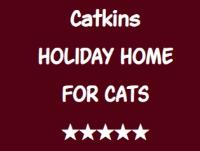 Catkins Holiday Home for Cats image 1