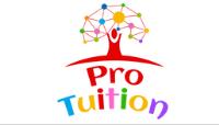 Pro-Tuition Essex Ltd image 1