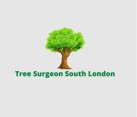 Tree Surgeon South London image 1