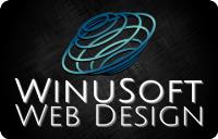 WinuSoft Web Design image 1