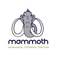 Mammoth Services Ltd image 8