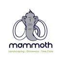 Mammoth Services Ltd logo