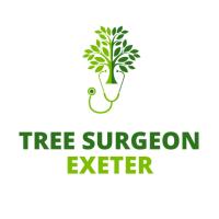 Tree Surgeon Exeter image 1