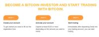 Bitcoin Investor image 2