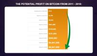 Bitcoin Investor image 3