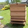 Beekeeper Supplies image 3