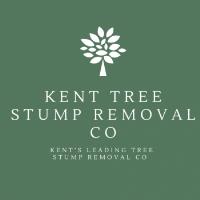 Kent Tree Stump Removal image 1