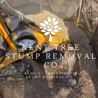 Kent Tree Stump Removal image 2