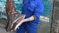 Glasgow's Fish Plaice image 2