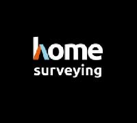 Home Surveying image 1