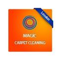 Magic Carpet Cleaning logo
