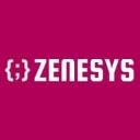 Zenesys Technosys Pvt. Ltd. logo