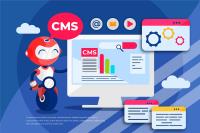 Top CMS Web Development Services in India & UK image 2
