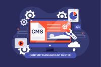Top CMS Web Development Services in India & UK image 5