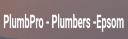 PlumbPro - Plumbers -Epsom logo