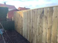 NPC Tree & Landscaping Ltd image 4