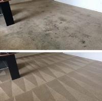 Sussex Carpet Cleaning image 2
