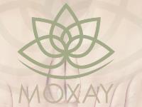 Moxay Wellbeing Clinic image 1