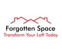 Forgotten Space logo