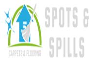 Spots & Spills image 1
