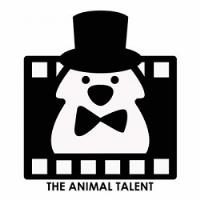 The Animal Talent Ltd image 4