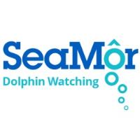 SeaMor Dolphin Watching Boat Trips image 1