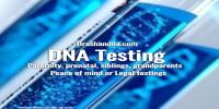 Brashan DNA Services Limited image 8